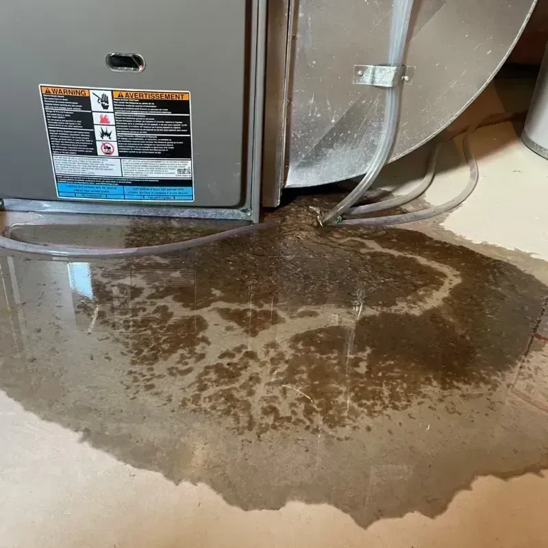 Appliance Leak Cleanup in Fulton County, KY